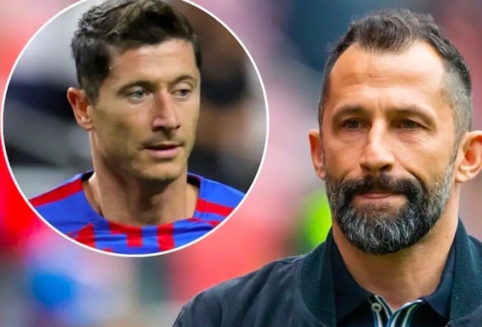 己的心率 己的心率