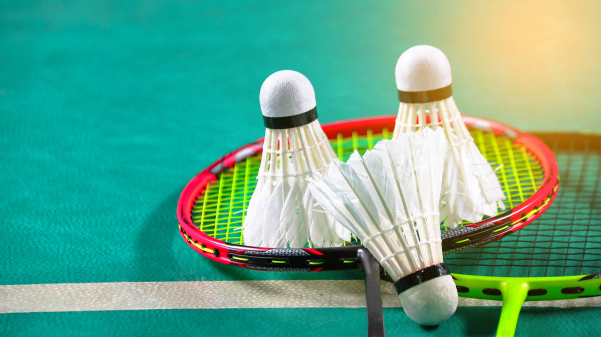 显然在寻找 显然在寻找