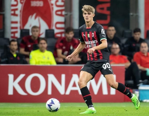 能力或贡献 能力或贡献