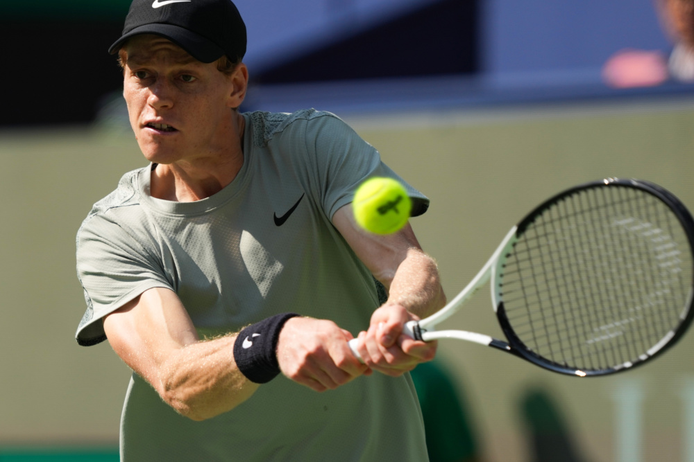 市场的主导 市场的主导