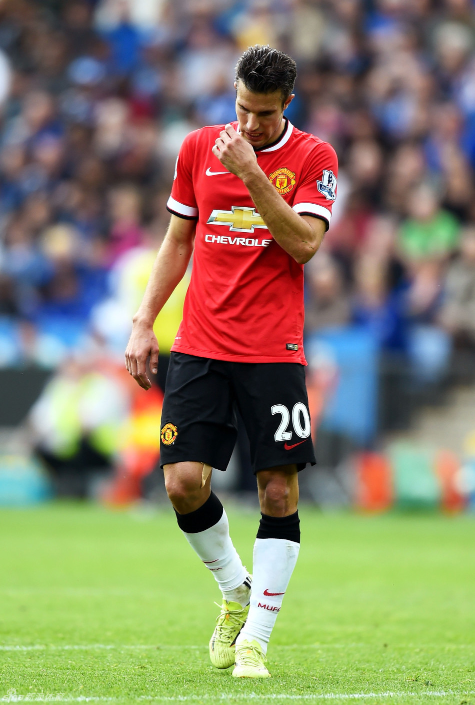 留在熟悉体 留在熟悉体